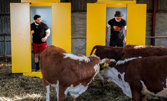 The Box Recommissioned in Denmark for a Second Season